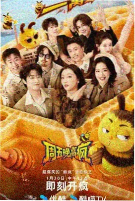 一个人的产房纪录片海报